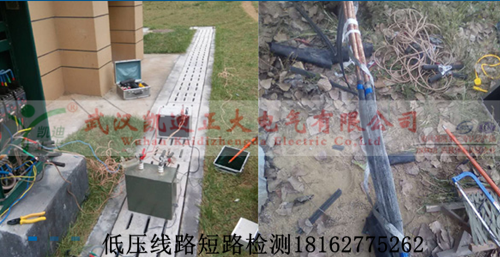 九一免费看片查找图.png