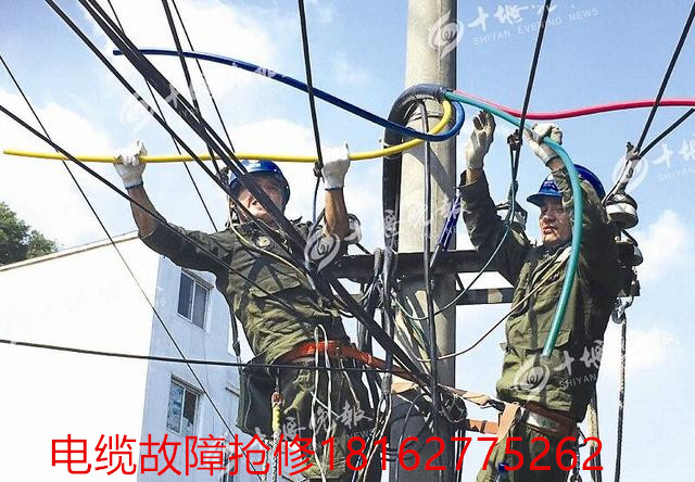 九一免费看片测试.jpg