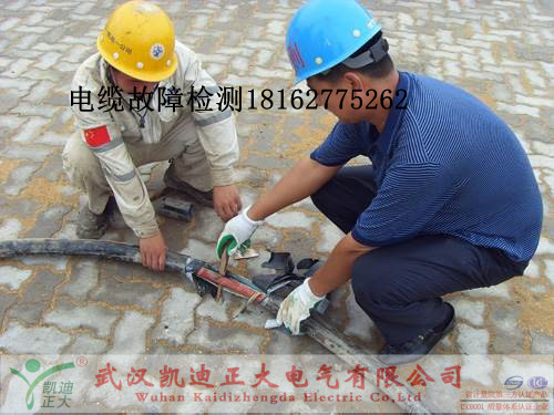 九一免费看片检测.jpg